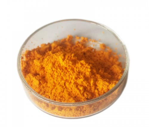 姜黄提取物/ Turmeric Extract