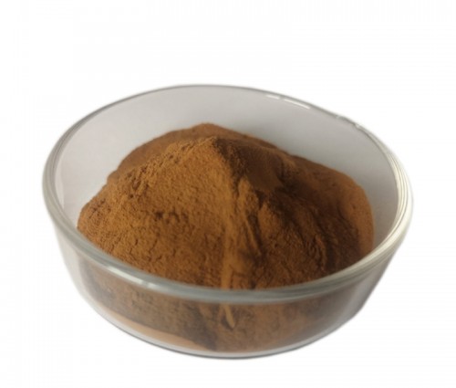 灵芝提取物/Lucidum Ganoderma Extract